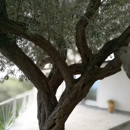 Casa Di Giulia Cefalù